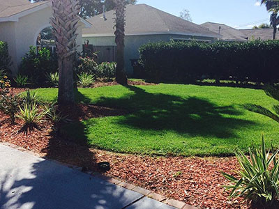 Landscape Design Panama City, FL
