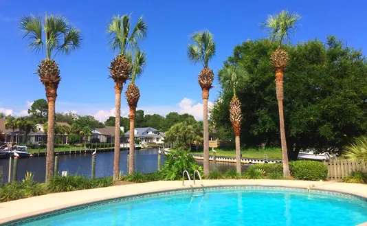 Plants & Trees, Panama City Beach, FL
