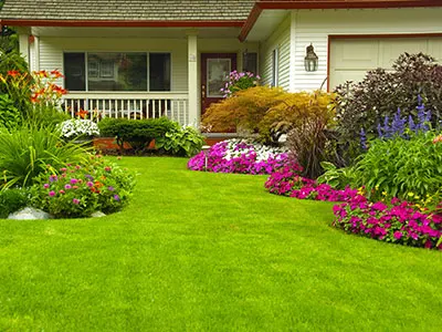 Landscape Services, Lynn Haven, FL