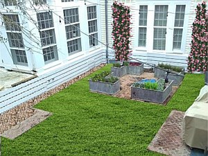 Landscape Design