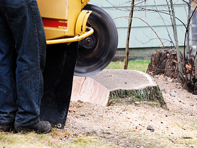 Stump Grinding Panama City, FL